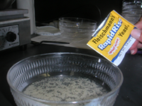 image of yeast mixture in bowl