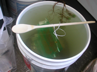 image of a bucket with a dowel rod hanging across
