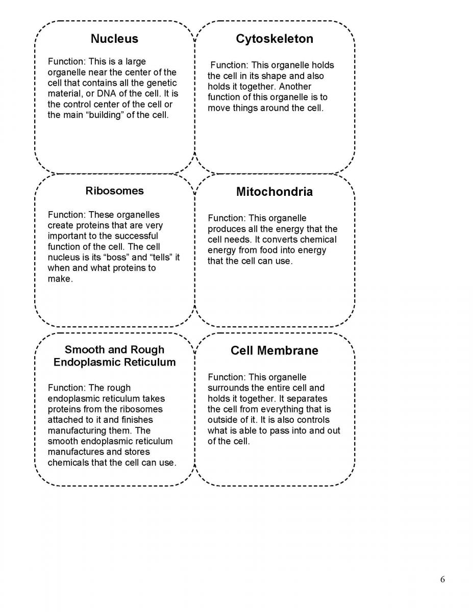 cell cards page 3