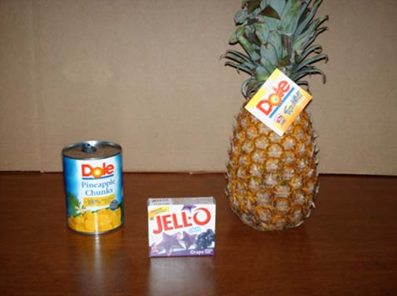 photo of jello and pineapple materials for activity