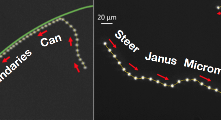 image of boundaries that steer active Janus micromotors