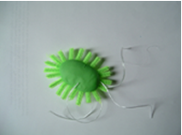 model of e coli bacteria