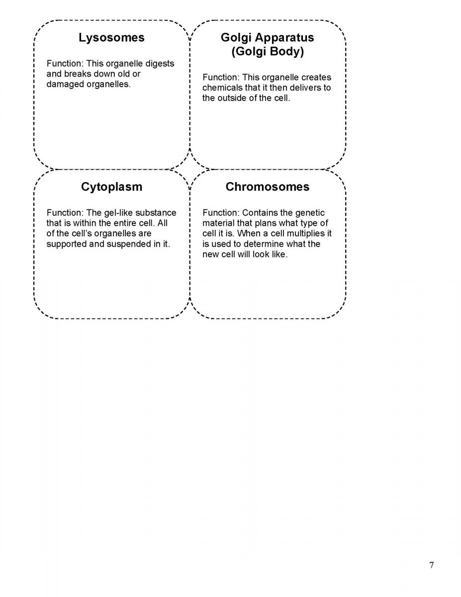 cell cards page 4