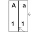 DNA graph