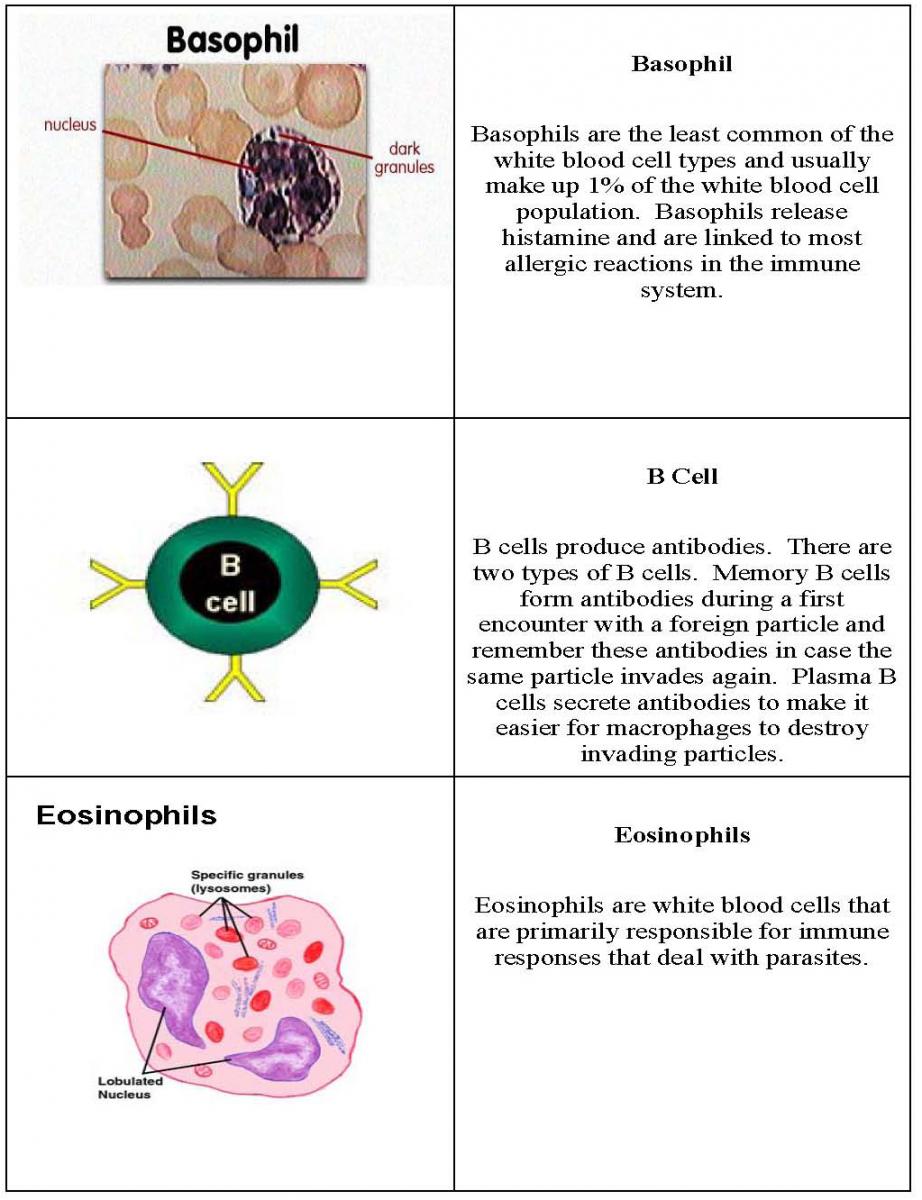 Memory Card Page 4