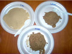 Sand samples Various sands