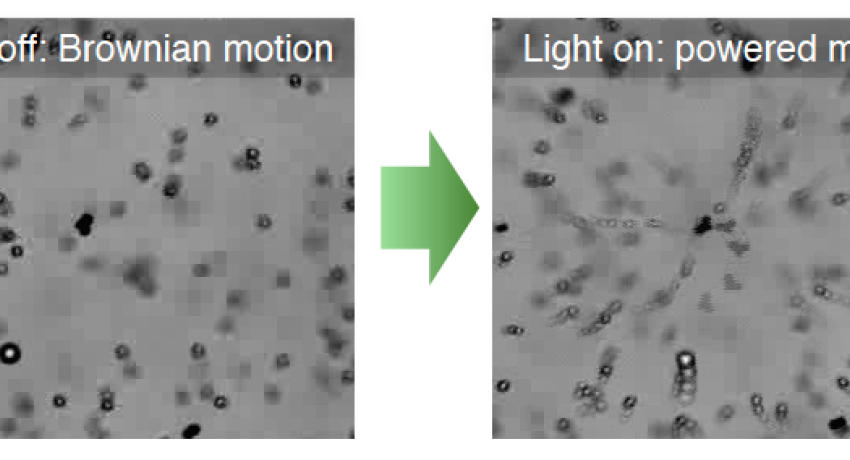 Time-lapse optical microscopy of Ag-CdS-Au in 1% H2O2 with overlays 0.2 s apart