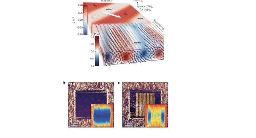 Images showing the electric fields