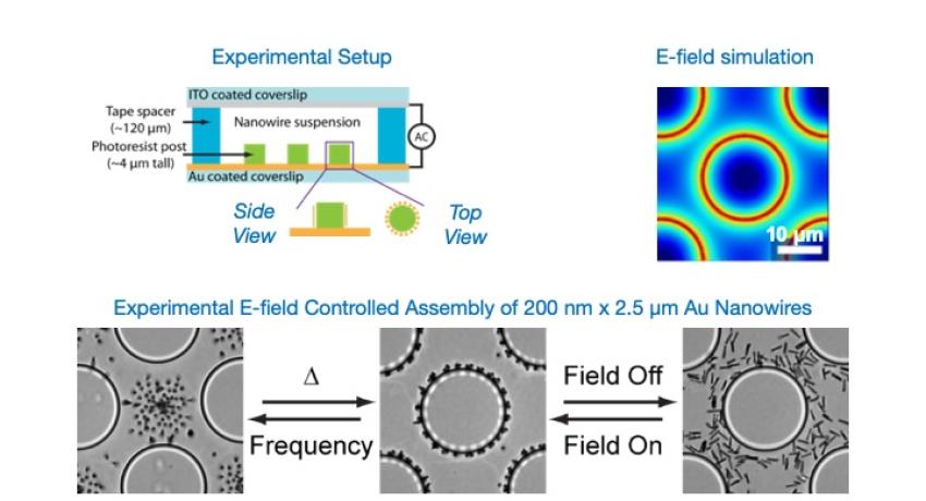 Nanowire Orientation and Assembly image