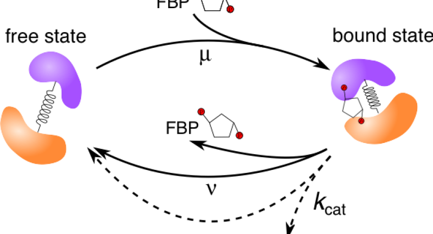 Image of Enhanced Diffusion