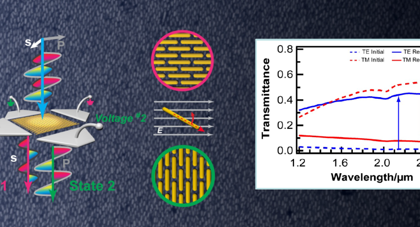 Polarizers illustration and graph