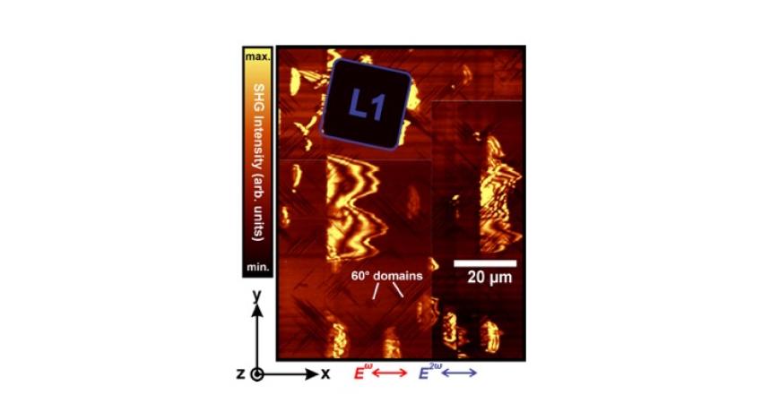 Microscopy imaging of a KNbO3 single crystal