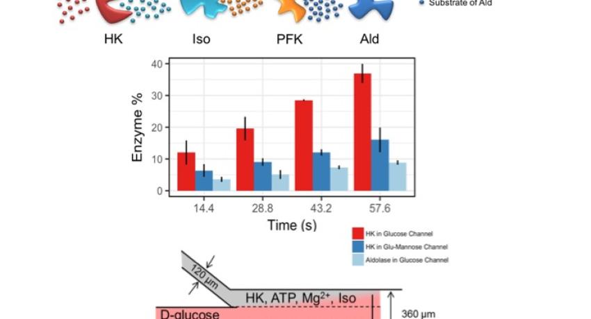 Substrate driven chemotactic charts