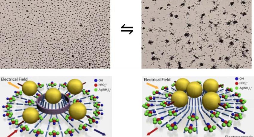 we demonstrate that micromotor systems can be used as logic gates, with stimuli (UV and NH3 in our system) as inputs and collective behaviors as outputs: “schooling” and “exclusion” behaviors as 1 and 0