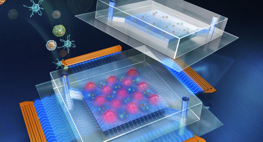 3D rendering of a disposable microfluidic device