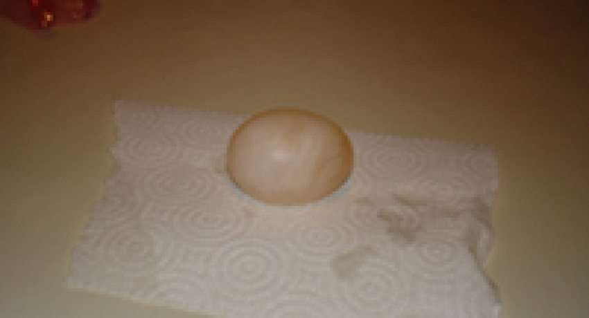 photo of egg