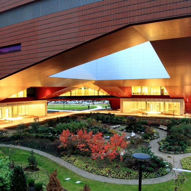 image of the Millennium Science Complex building