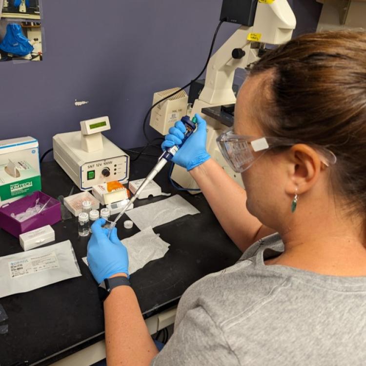 scientist using a pipette